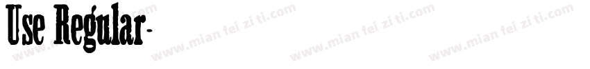 Use Regular字体转换